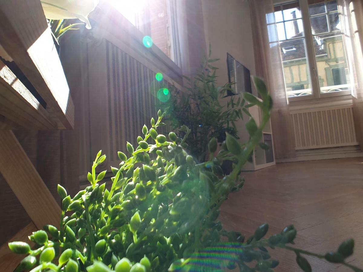 Au 36, Les Apparts Hotel Joigny Bagian luar foto